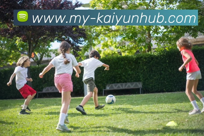 App Interface Preview